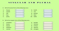 Singular and Plural Nouns 2